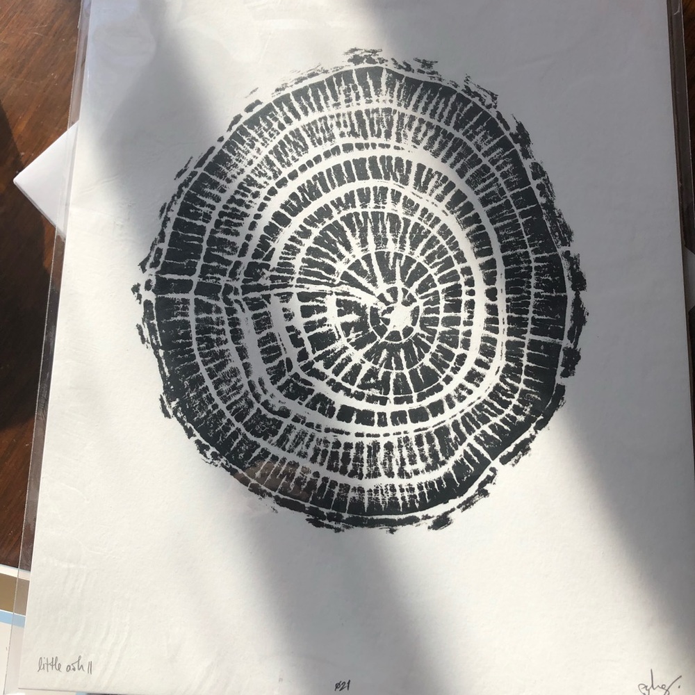 Tree Ring Print, Tree Rings Print.